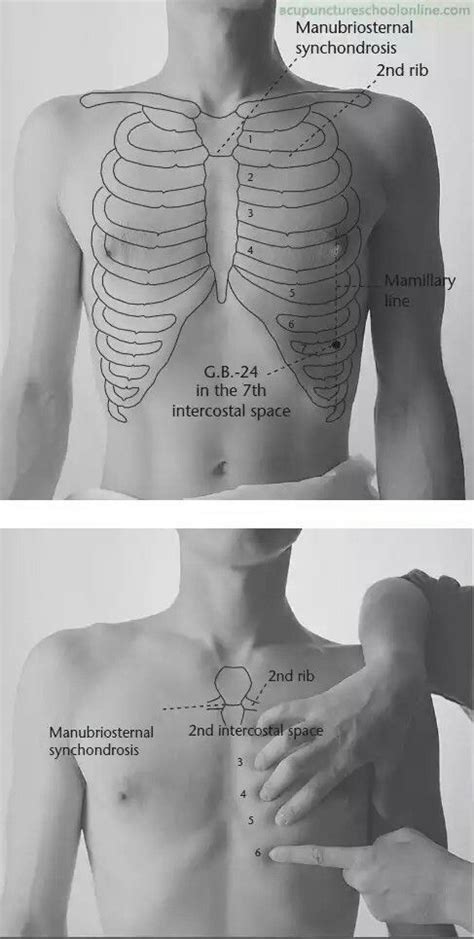 Postural Drainage Positions And Chest Physiotherapy Cpt Study Guide