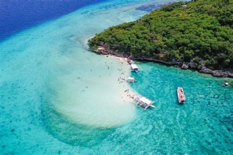 Whale Shark Sumilon Sandbar Sardines And Sea Turtles Snorkeling Day