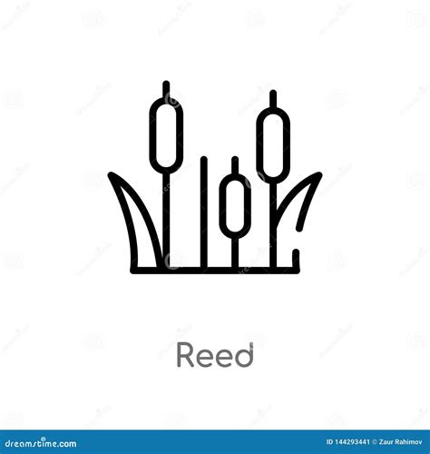 Outline Reed Vector Icon Isolated Black Simple Line Element