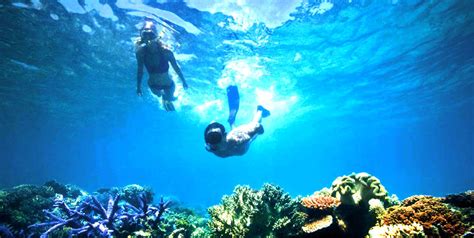 Blue Lagoon Snorkeling And Ubud Tour Packages 2 Hours Bali Snorkeling And Visiting Ubud Village