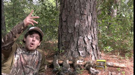 Georgia Squirrel Hunting Small Game Hunting Hollovision Hunts