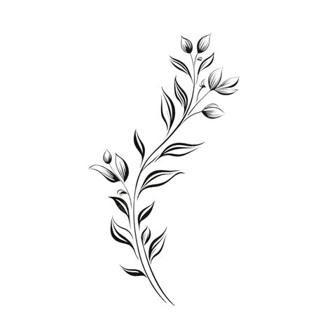 Dessin De Feuille Florale Simplicit Png Flore Floral Plante Image