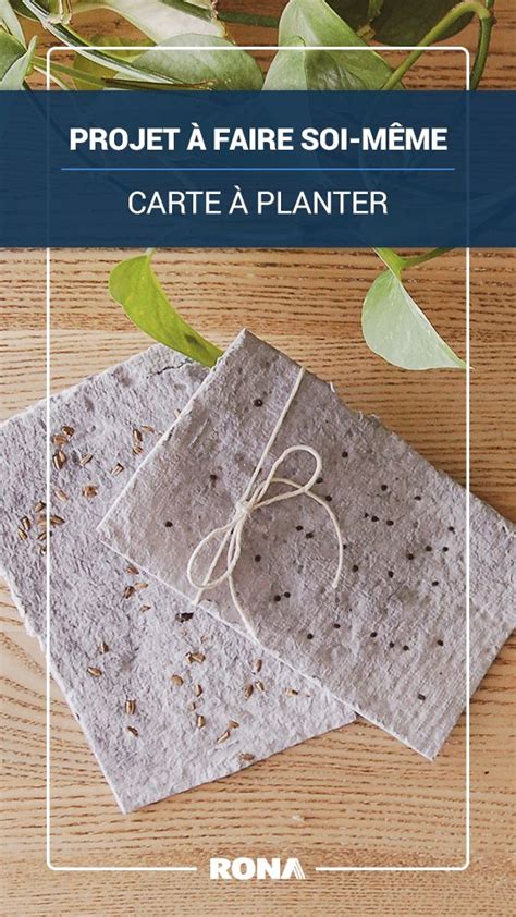 Fabriquer une carte à planter Plantable Original gift Diy