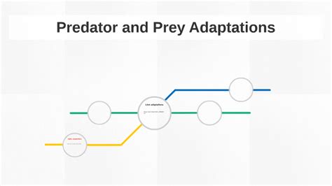 Predator And Prey Adaptations By Michael Moore On Prezi