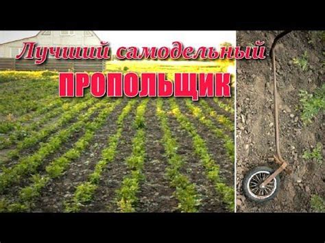 Самый лучший инструмент для быстрой прополки огорода - YouTube в 2022 г ...