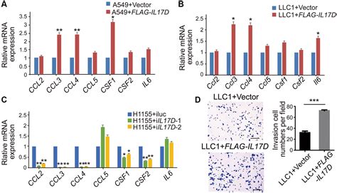 Interleukin D Promotes Lung Cancer Progression By Inducing Tumor