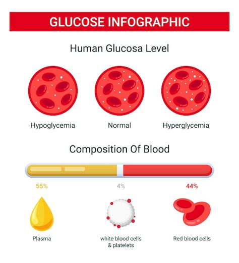 Glukoseblut Infografik Menschlicher Glukosespiegel