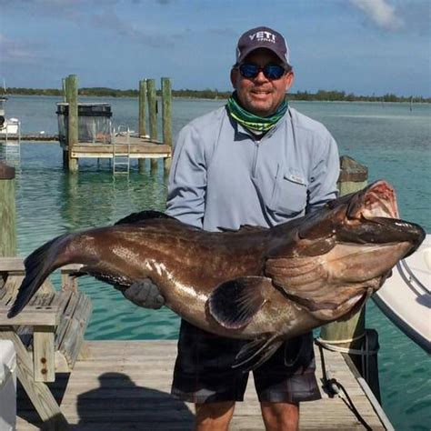 Deep Sea Fishing Eleuthera — Spanish Wells Fishing