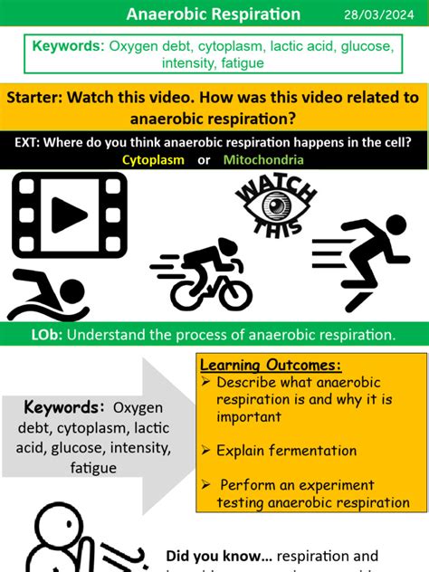 Anaerobic Respiration FERMENTATION | PDF | Cellular Respiration ...