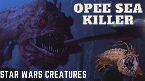 Opee Sea Killer Star Wars Creatures Youtube