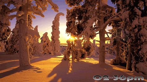 Winter Landscapes Free Screensaver 2.0 - Download, Review, Screenshots