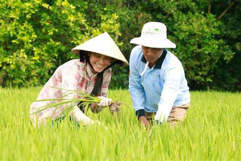 Vietnams Ministry Of Agriculture And Rural Development Promotes Measures