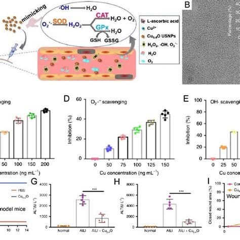 A Schematic Illustration Of The Design Of Pt Pcn Mn B Tem And C