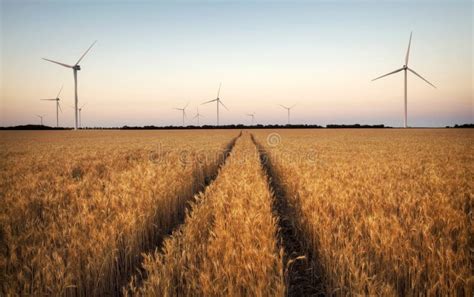 Turbinas E Licas Y Campo Agr Cola En Un D A De Verano Producci N De