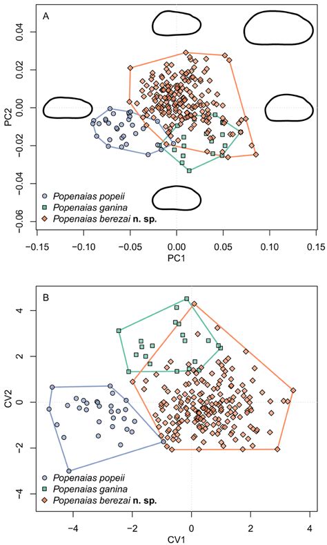 Biplots From Principal Component Analysis Pca A And Canonical