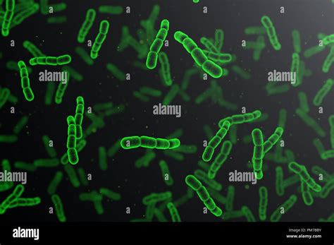 Streptococcus Pneumoniae Fotograf As E Im Genes De Alta Resoluci N Alamy