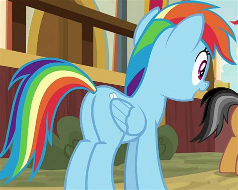 2770340 Safe Derpibooru Import Screencap Quibble Pants Rainbow