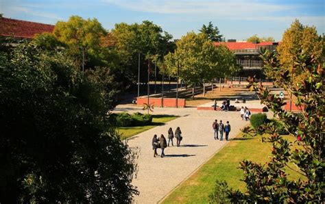 Mayores De Chamart N Pasea Tu Ciudad Sendas Del Campus De La