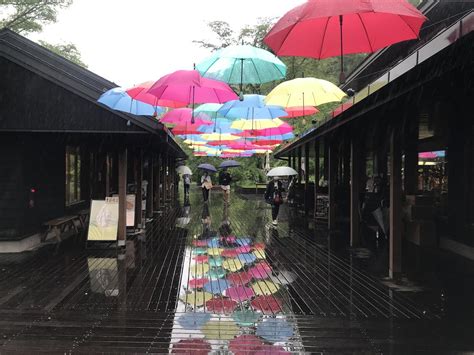 【長野県軽井沢町】雨の季節を盛り上げるアンブレラスカイ始まりました星野エリア「ハルニレテラス」（akari） エキスパート