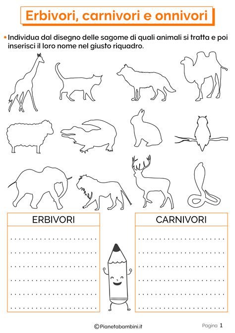 Erbivori Carnivori E Onnivori Schede Didattiche Per La Scuola