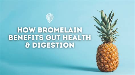 How Bromelain Benefits Gut Health And Digestion Protea Nutrition