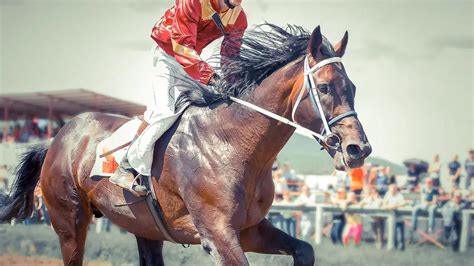 51 Of The Best Kentucky Derby Horse Names (Of All Time)