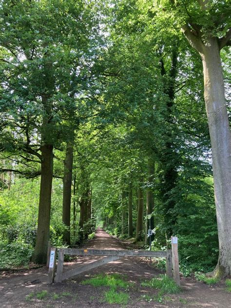 Natuur En Kastelen In De Parel Van De Kempen Wandelknooppunt Be