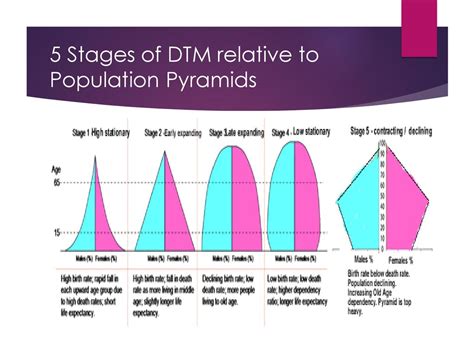 Unit 1 Population Part V Population Pyramids Ppt Download