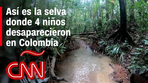 Cómo es la selva de Colombia donde desaparecieron 4 niños tras un