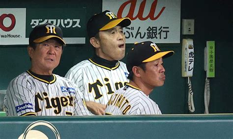 阪神 優勝マジック再点灯の条件は？ 阪神タイガース スポーツニュースまとめブログ