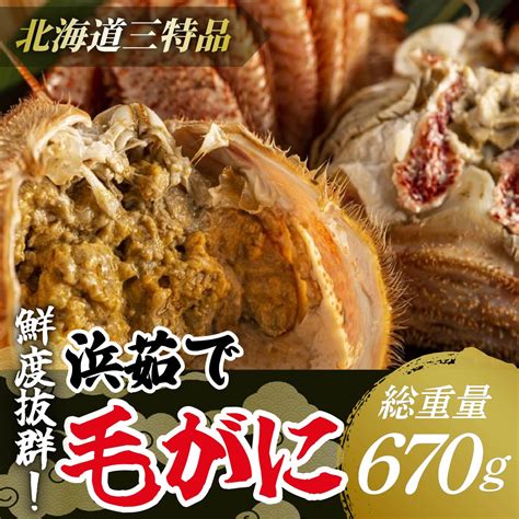 【楽天市場】【ふるさと納税】【網走産】鮮度抜群！三特浜茹で毛がに 約670g×1尾 【 ふるさと納税 人気 おすすめ ランキング 毛がに