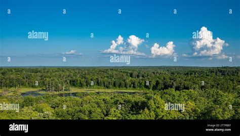 View Of Lakes And Forest From Aiton Heights Fire Tower In Itasca State