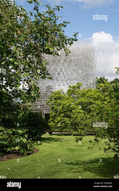 The Hive Pavilion Is Unveiled At Kew Gardens London Designed By