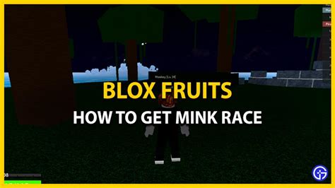 How To Get Mink V3 In Blox Fruits - Gamer Tweak