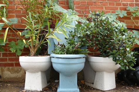 Triceratops To Toilets 7 Awesomely Unexpected Diy Planters Planters