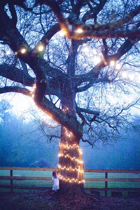 Wedding Light Decorations