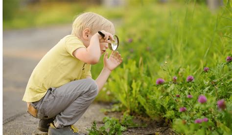 Exploring Travisso Fun Outdoor Nature Projects For Kids Travisso Blog