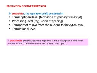 Regulation Of Gene Expression LAC OPERON Pptx