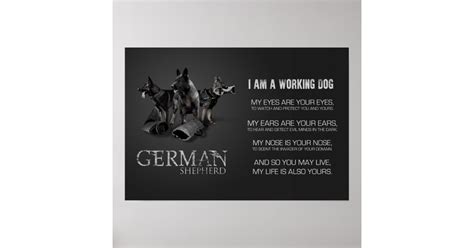 Working German Shepherd Dog Gsd Poster Zazzle