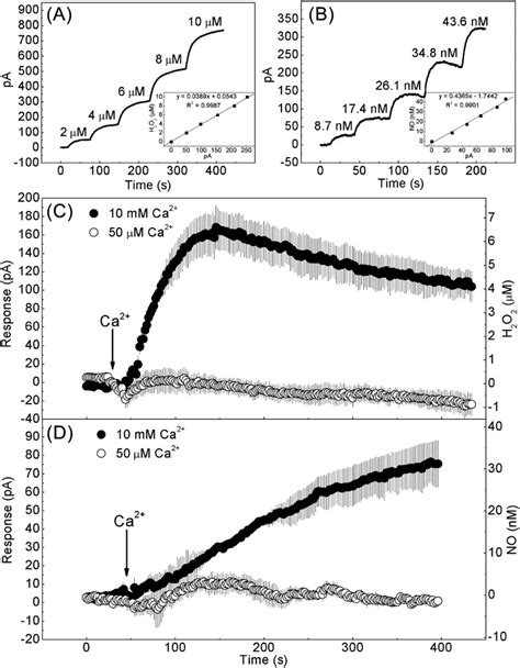 Electrochemical Detection Of H O And No Production From Arabidopsis