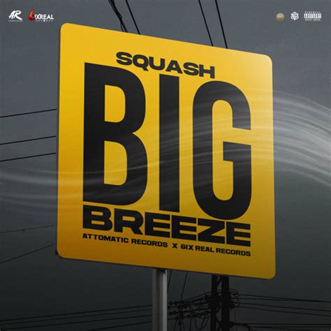 Stream Big Breeze By Squash Listen Online For Free On Soundcloud