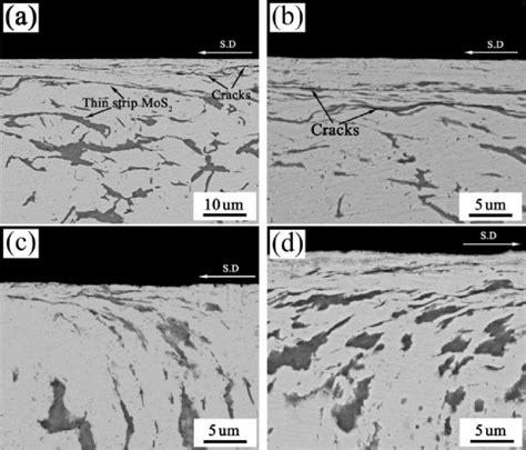 SEM Micrographs Of The Cross Section Of The Worn Subsurfaces A And