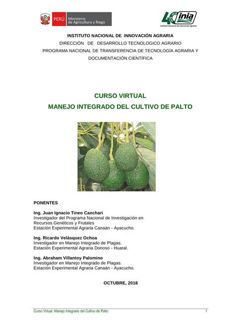 Pdf Curso Virtual Manejo Integrado Del Cultivo De Palto Dokumen Tips