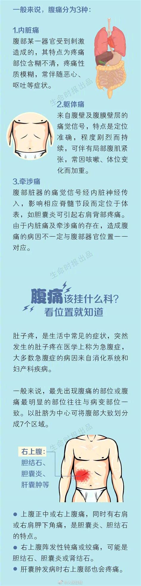 科普丨肚子痛时到底是哪里痛 名城苏州新闻中心