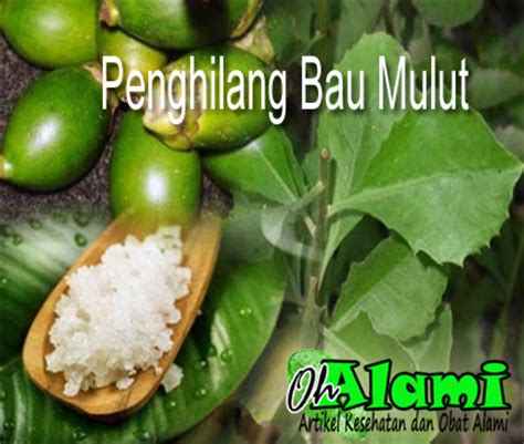 Ramuan Obat Alami Untuk Menghilangkan Bau Mulut