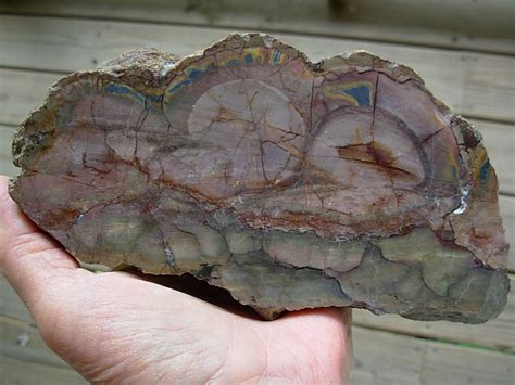 Rhyolite – Spirit Rock Shop