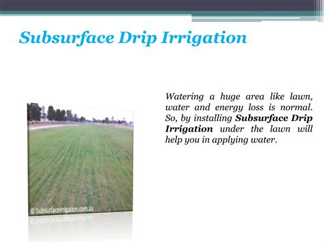 Subsurface Drip Irrigation Ppt