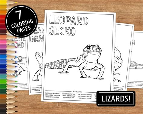 Printable Coloring Pages Lizards With Fun Facts Coloring Pages For