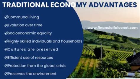 Traditional Economy Advantages Financial Falconet