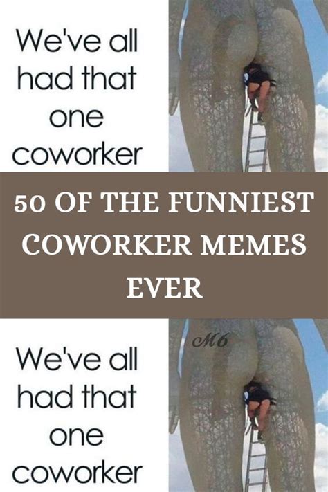 49 Of The Funniest Coworker Memes Ever Artofit